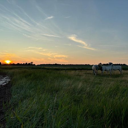 Nedlagt Gard I Naturen Med Ro Og Fred Og Samtidig Taet Pa Strand Og Fiskeri Og Indkobsmuligheder Норборг Экстерьер фото